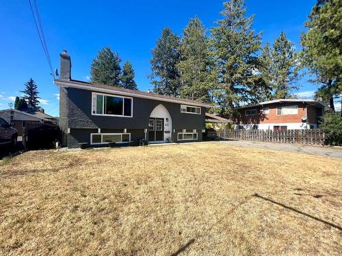 482 Palmer Street, Princeton, BC - Outdoor