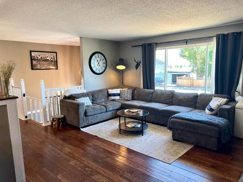 482 Palmer Street, Princeton, BC - Indoor Photo Showing Living Room