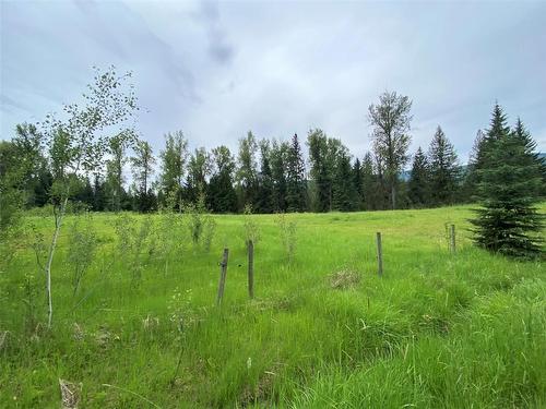 2008 Trinity Valley Road, Lumby, BC - Outdoor With View