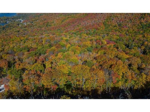 Vue d'ensemble - Ch. Du Domaine-Forget, Saint-Donat, QC 