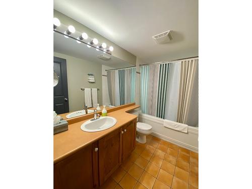 313 - 2060 Summit Drive, Panorama, BC - Indoor Photo Showing Bathroom