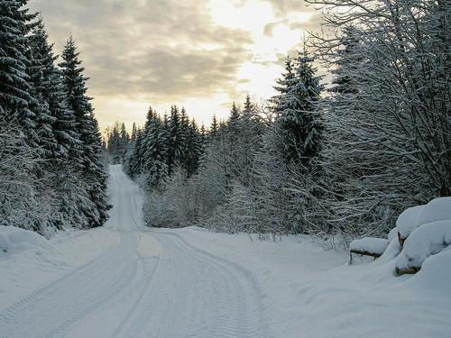 Autre - 50 Ch. Du Val-Carroll, Harrington, QC - Outdoor With View