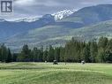 1125 N 5 Highway, Valemount, BC  - Outdoor With View 