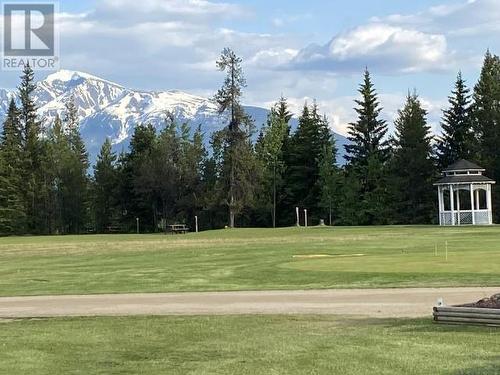 1125 N 5 Highway, Valemount, BC - Outdoor With View
