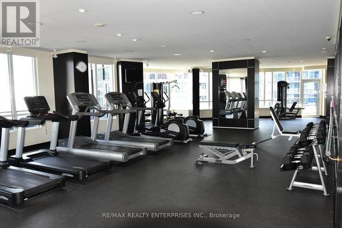 517 - 20 Blue Jays Way, Toronto, ON - Indoor Photo Showing Gym Room