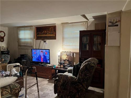Lower level living room - 205 Alder Street E, Haldimand County, ON - Indoor