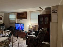 Lower level living room - 