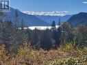 4675 6 Highway, Hills, BC  - Outdoor With View 