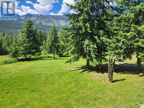 4675 6 Highway, Hills, BC - Outdoor With View