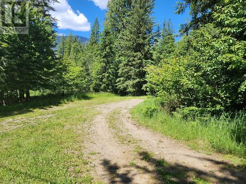 4675 6 Highway, Hills, BC - Outdoor