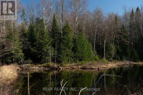 0 Airport Road, Hastings Highlands, ON 