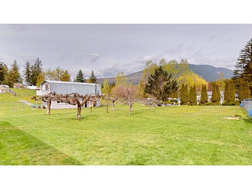 5145 Elsie Holmes Road, Creston, BC - Outdoor With View