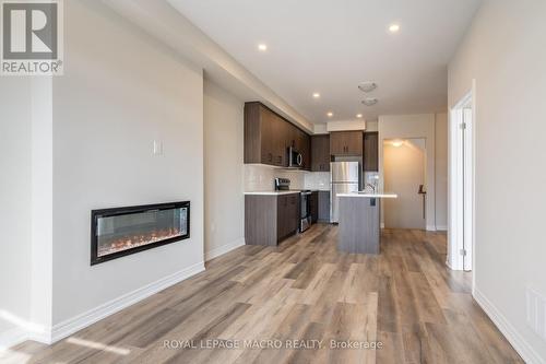 57 - 40 Zinfandel Drive, Hamilton, ON - Indoor With Fireplace
