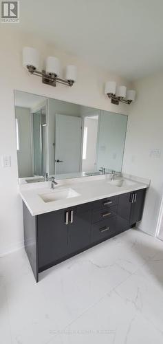 69 George Brier Dr E, Brant, ON - Indoor Photo Showing Bathroom