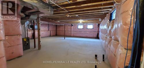 69 George Brier Dr E, Brant, ON - Indoor Photo Showing Basement