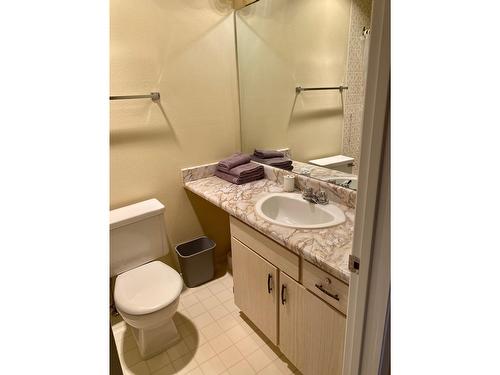 301C - 1802 Alpine Drive, Elkford, BC - Indoor Photo Showing Bathroom