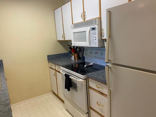 301C - 1802 Alpine Drive, Elkford, BC - Indoor Photo Showing Kitchen