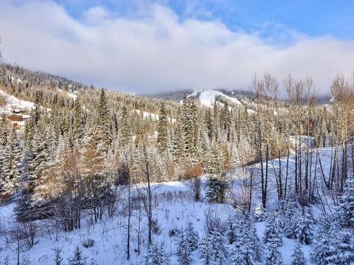 2424 Fairways Drive, Sun Peaks, BC - Outdoor With View