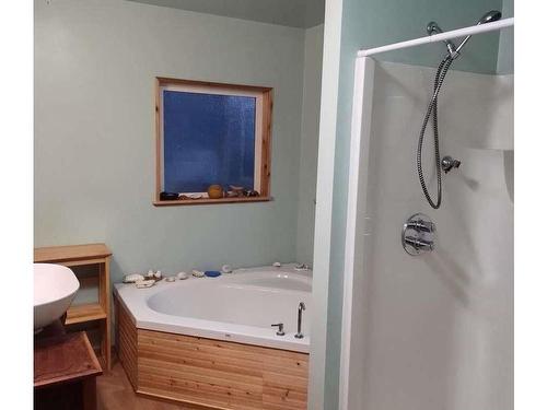 334 Halibut Hill Rd, Mudge Island, BC - Indoor Photo Showing Bathroom