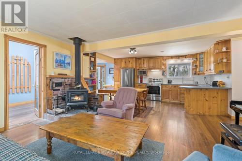 16651 Leslie Hill, Halton Hills, ON - Indoor Photo Showing Living Room With Fireplace