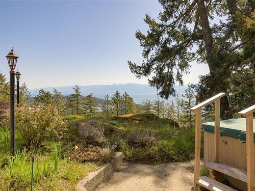 558 Wilderness Pl, Sooke, BC - Outdoor With View