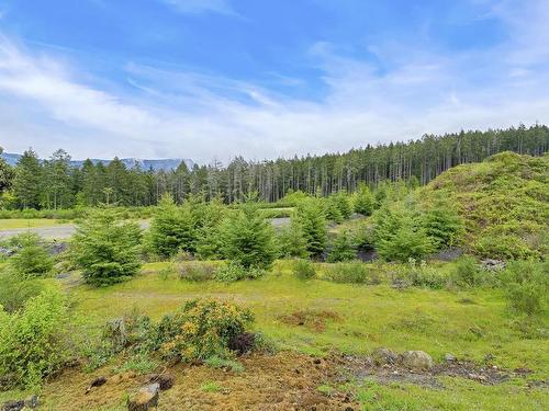 6343 Nevilane Dr, Duncan, BC - Outdoor With View