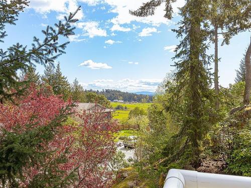 8518 Tribune Terr, North Saanich, BC - Outdoor With View