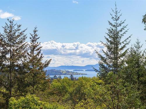 8518 Tribune Terr, North Saanich, BC - Outdoor With Body Of Water With View