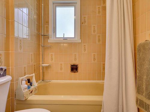 Bathroom - 250 Ch. Millette, Lac-Des-Seize-Îles, QC - Indoor Photo Showing Bathroom