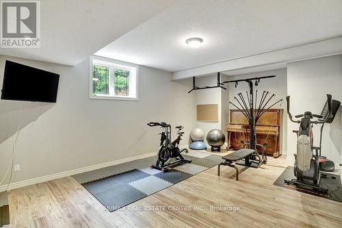 209 Hume Rd, Puslinch, ON - Indoor Photo Showing Gym Room