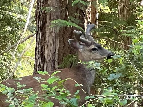 Lot 94 Harrison Way, Gabriola Island, BC 