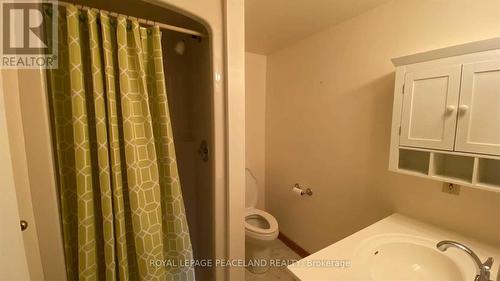 313 Main Street, St. Catharines, ON - Indoor Photo Showing Bathroom