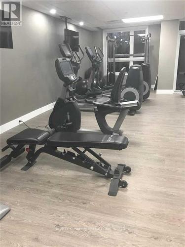 #124 -125 Shoreview Pl, Hamilton, ON - Indoor Photo Showing Gym Room