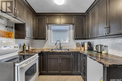 332 W Avenue S, Saskatoon, SK - Indoor Photo Showing Kitchen With Double Sink With Upgraded Kitchen