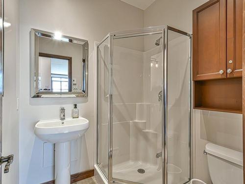 Salle de bains - 8-300 Rue Du Mont-Plaisant, Mont-Tremblant, QC - Indoor Photo Showing Bathroom