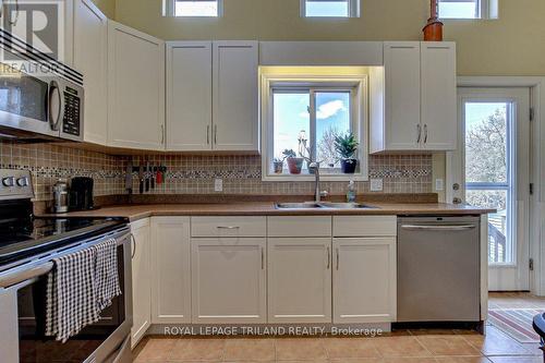 29 Havenridge Court, St. Thomas, ON - Indoor Photo Showing Kitchen With Double Sink