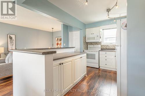 226 Portsmouth Cres E, London, ON - Indoor Photo Showing Kitchen
