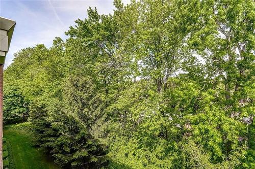 treed summer view - 100 Burloak Drive|Unit #2505, Burlington, ON 