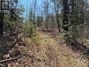 Pt Lt 20 Dalhousie 4Th Concession B Road, Lanark Highlands, ON 