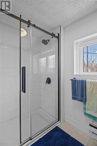 18 Oxen Pond Road, St. John'S, NL - Indoor Photo Showing Bathroom