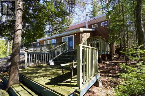 557 Wao Catchacoma, Galway-Cavendish And Harvey, ON - Outdoor With Deck Patio Veranda With Exterior