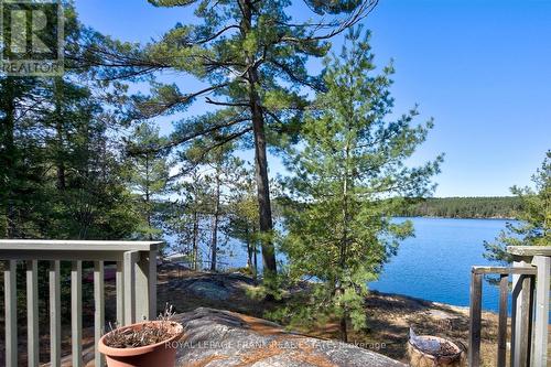 557 Wao Catchacoma, Galway-Cavendish And Harvey, ON - Outdoor With Body Of Water With View