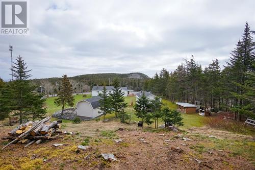 164 - 168 Highroad South Road, Carbonear, NL - Outdoor With View