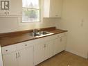 93 Hutchison Avenue, Elliot Lake, ON  - Indoor Photo Showing Kitchen With Double Sink 