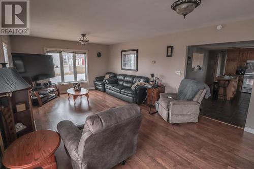 38 Squires Road, Deer Lake, NL - Indoor Photo Showing Living Room