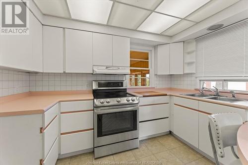 441 Arlington Boulevard, Tecumseh, ON - Indoor Photo Showing Kitchen With Double Sink