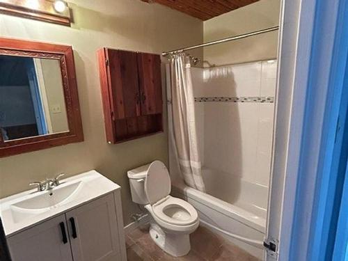 395 Hastings Place, Thunder Bay, ON - Indoor Photo Showing Bathroom