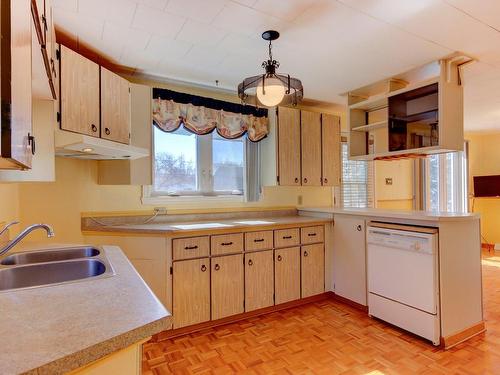 Cuisine - 1349 Rue Du Bonheur, Saint-Alexandre, QC - Indoor Photo Showing Kitchen With Double Sink