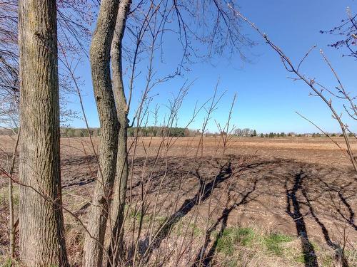 Terre/Terrain - 1349 Rue Du Bonheur, Saint-Alexandre, QC - Outdoor With View