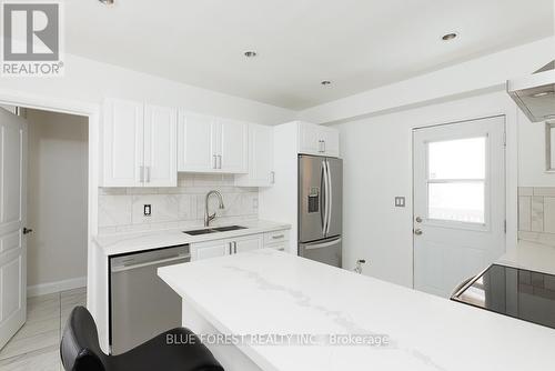 33 Wilson Avenue, London, ON - Indoor Photo Showing Kitchen With Double Sink